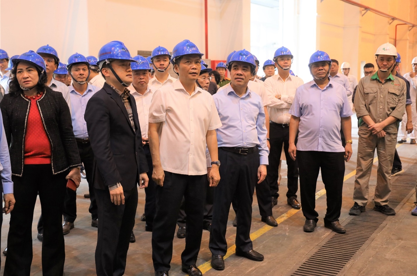 Xây dựng Tuyên Quang trở thành trung tâm sản xuất chế biến gỗ của vùng Trung du và miền núi Bắc Bộ