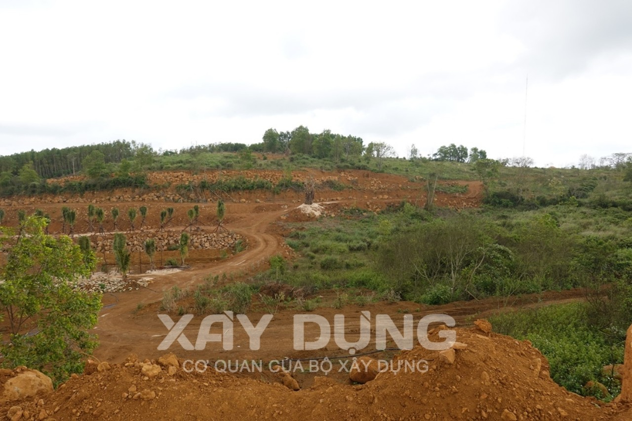 Phú Yên: Cải tạo đất đồi, đào múc khoáng sản để làm khu vườn sinh thái