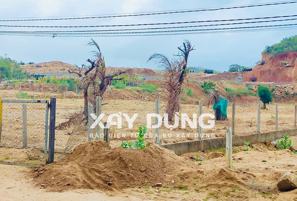 Cam Ranh (Khánh Hòa): Chưa khắc phục xong hậu quả, hàng trăm nghìn mét vuông đất rừng tại khu vực núi Hòn Rồng tiếp tục bị “cạo trọc”