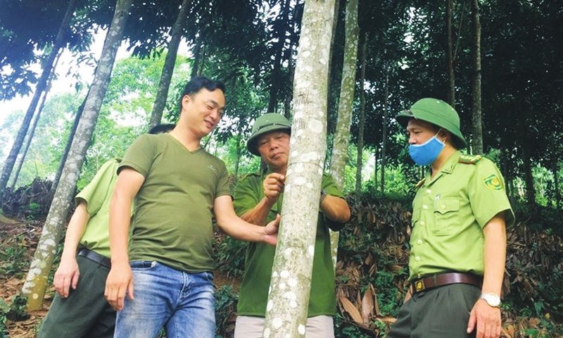 Kiểm lâm Thái Nguyên: Trồng cây song hành với bảo vệ rừng