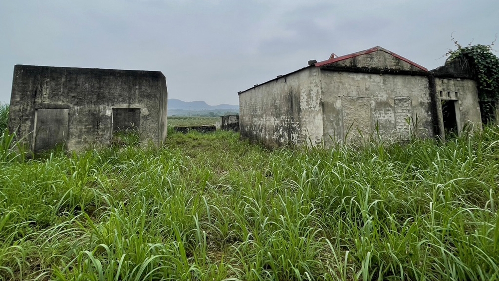 Ninh Bình: Doanh nghiệp xây dựng Xuân Trường xin đổi đất để làm Khu du lịch sinh thái hồ Đồng Chương