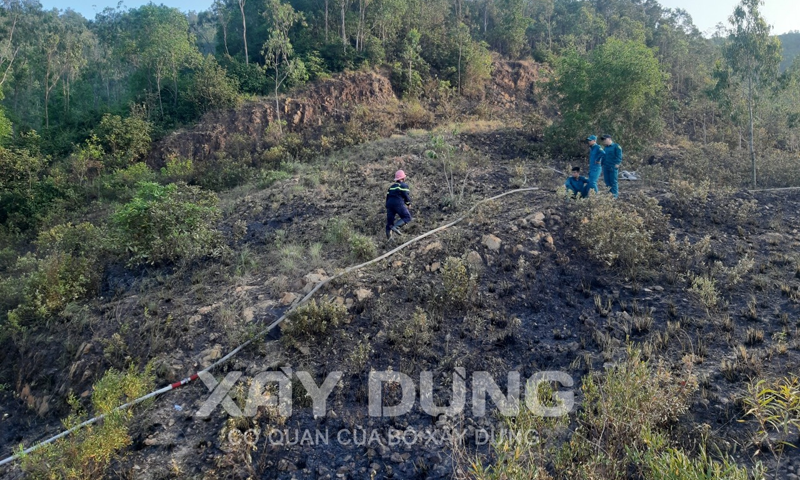 Bình Định: Cháy rừng trên núi Bà Hỏa