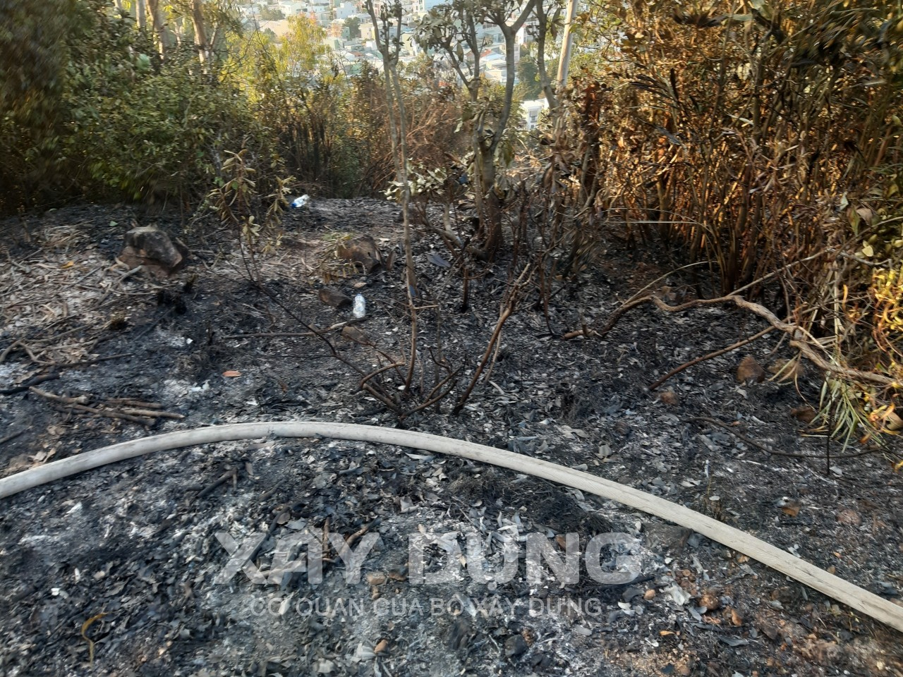 Bình Định: Cháy rừng trên núi Bà Hỏa
