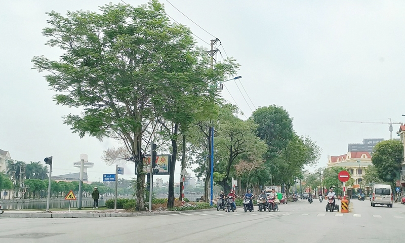 Thành phố Hải Dương: Tuyến phố đi bộ sẽ bố trí theo các phân khu Long – Lân – Quy – Phụng