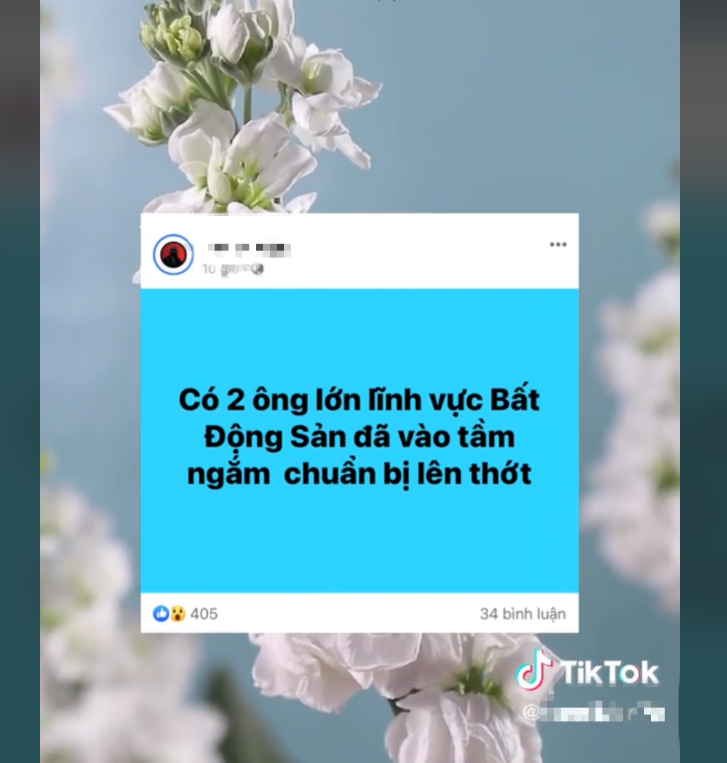 Các ‘chuyên gia’ bất động sản tung hoành trên TikTok