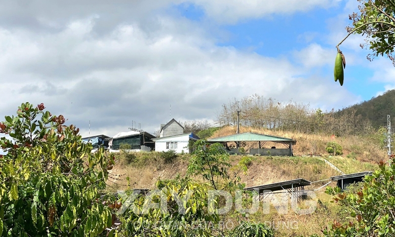 Đắk Nông: Cận cảnh các công trình xây dựng trái phép trên đất nông nghiệp khác tại huyện Cư Jút