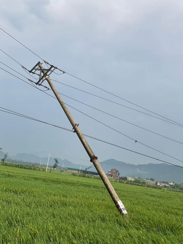 Phú Thọ: Mưa lớn làm hơn 240 nhà bị tốc mái, 1.300ha lúa ngô bị thiệt hại