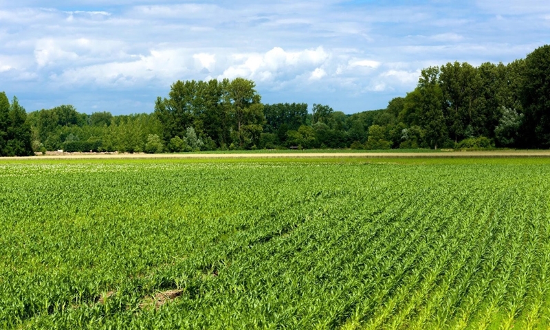 Đất nông nghiệp có diện tích bao nhiêu được tách thửa?