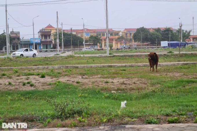 Không cứu thời gian này, doanh nghiệp BĐS sẽ 