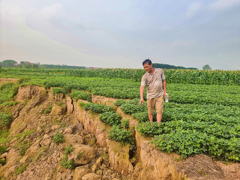 Lục Nam (Bắc Giang): Sông “nuốt” đất sản xuất, người dân nặng nỗi lo