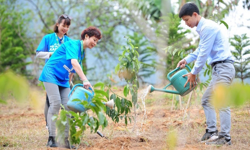 Đắk Nông: Dự kiến sẽ trồng hơn 163.000 cây xanh mừng ngày sinh nhật Bác
