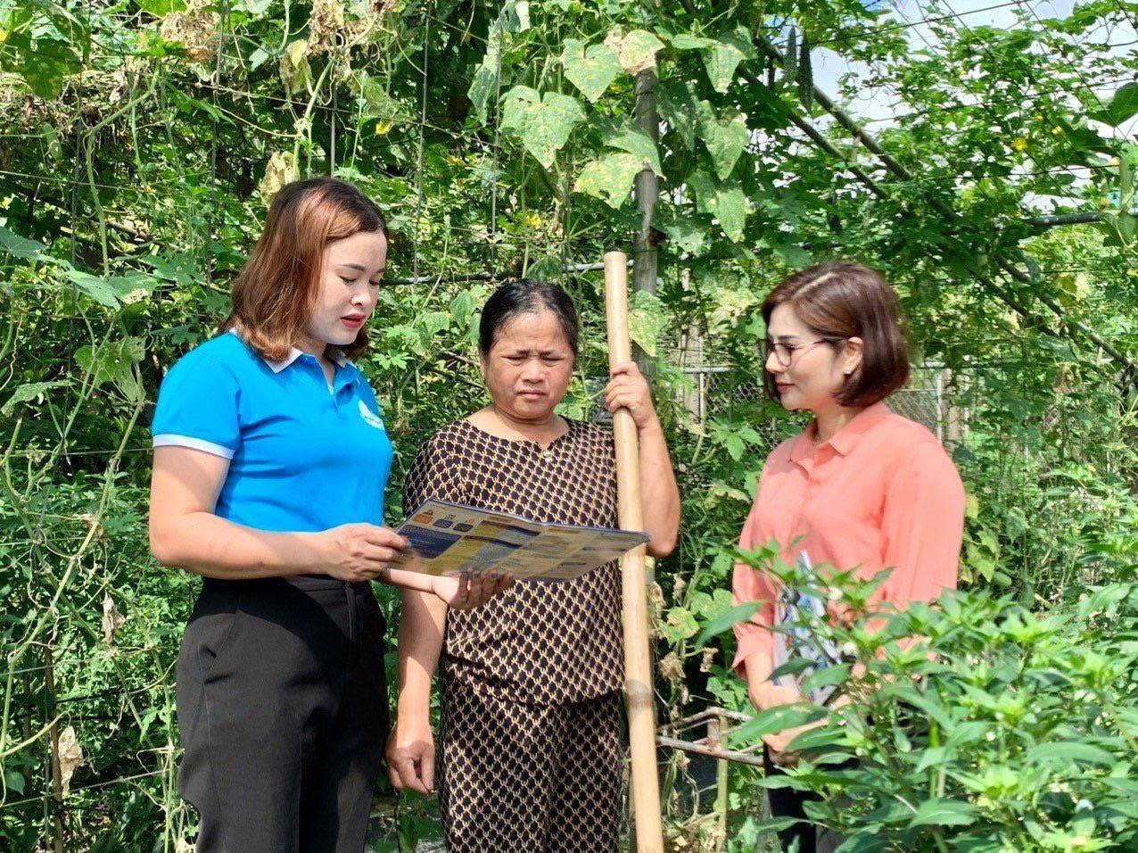 Nhiều mô hình thiết thực trong phát triển BHXH tự nguyện: Tạo điểm tựa an sinh vững chắc cho người lao động tự do