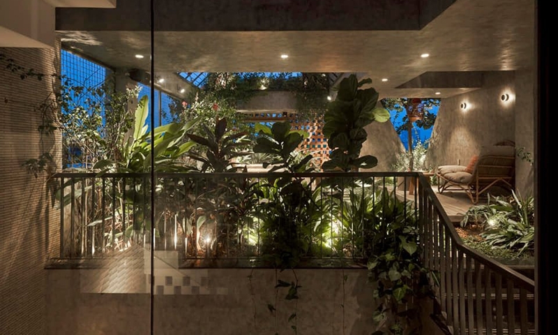 Ngôi nhà đưa cả 'khu rừng nhiệt đới' vào không gian sống