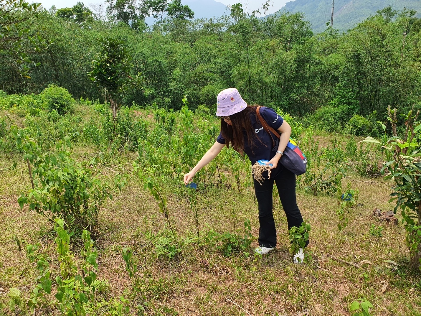 Ba chân kiềng phát triển bền vững của TNG Holdings Vietnam