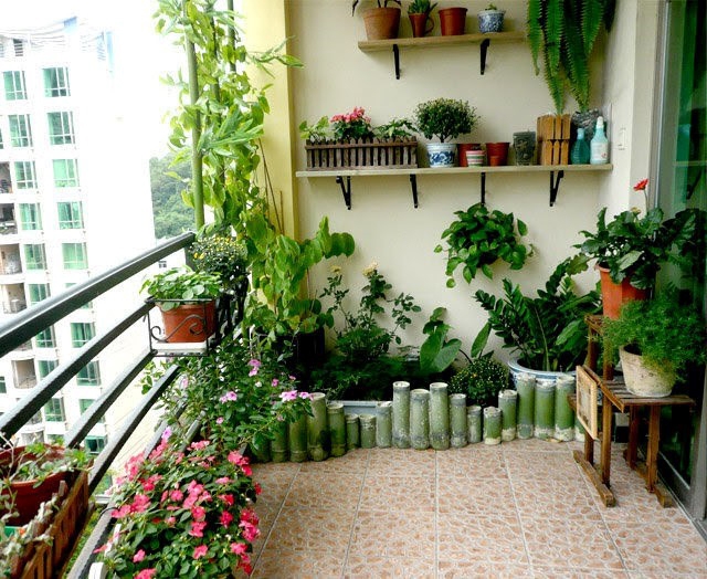Các nguyên tắc cần nhớ khi trồng cây xanh trong căn hộ chung cư
