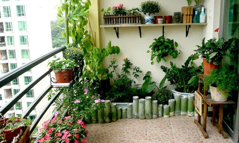 Các nguyên tắc cần nhớ khi trồng cây xanh trong căn hộ chung cư