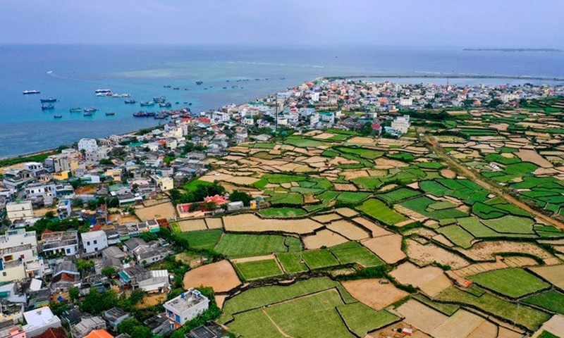Giá đất nông nghiệp ở đảo Lý Sơn tăng đột biến