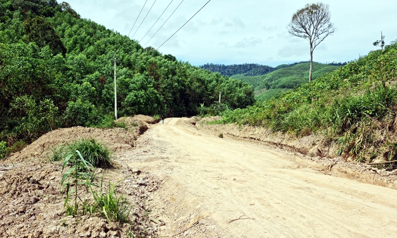 Đắk Nông: Thu hồi trên 1.700ha đất của doanh nghiệp trồng rừng