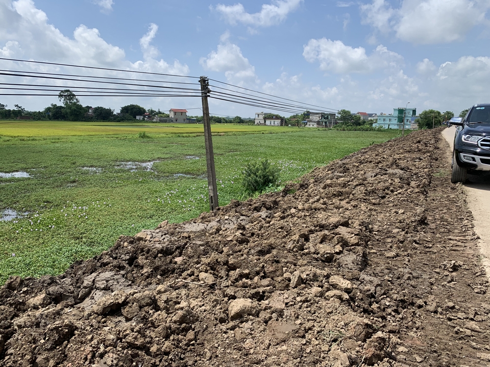 Nam Định: Cần kiểm tra nguồn đất đắp đê ở một dự án