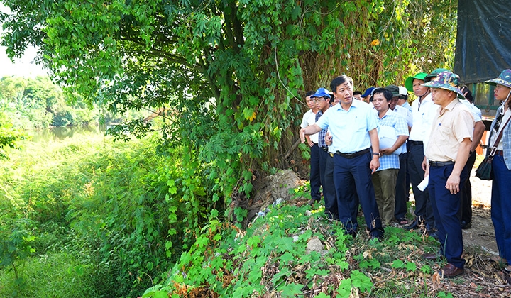 Thừa Thiên – Huế: Phát hiện nhiều điểm chưa phù hợp trong phương án xây dựng kè sông An Hòa
