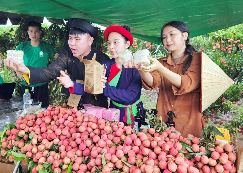 Phối hợp quảng bá du lịch Bắc Giang qua nền tảng TikTok