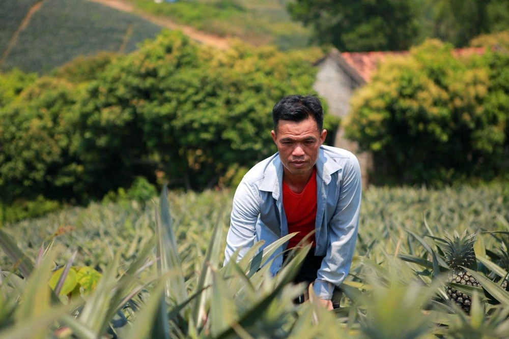 Lục Nam (Bắc Giang): 100% các xã đã về đích nông thôn mới