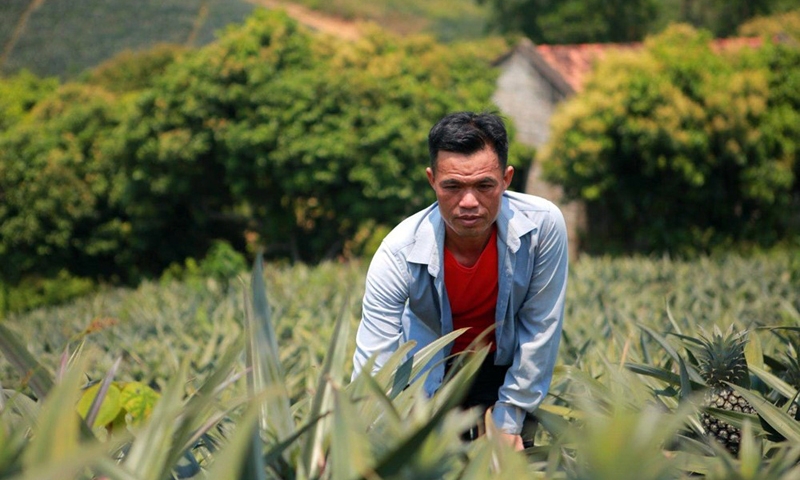 Lục Nam (Bắc Giang): 100% các xã đã về đích nông thôn mới