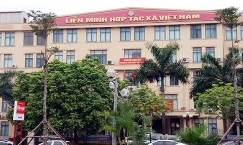 Điều gì đang diễn ra ở Liên minh HTX Việt Nam sau kết luận của Ủy ban Kiểm tra Trung ương?
