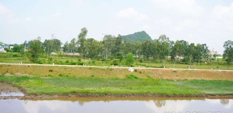 Thanh Hóa: 5 nhà thầu trúng thầu dự án tu bổ, nâng cấp đê hữu sông Hoạt