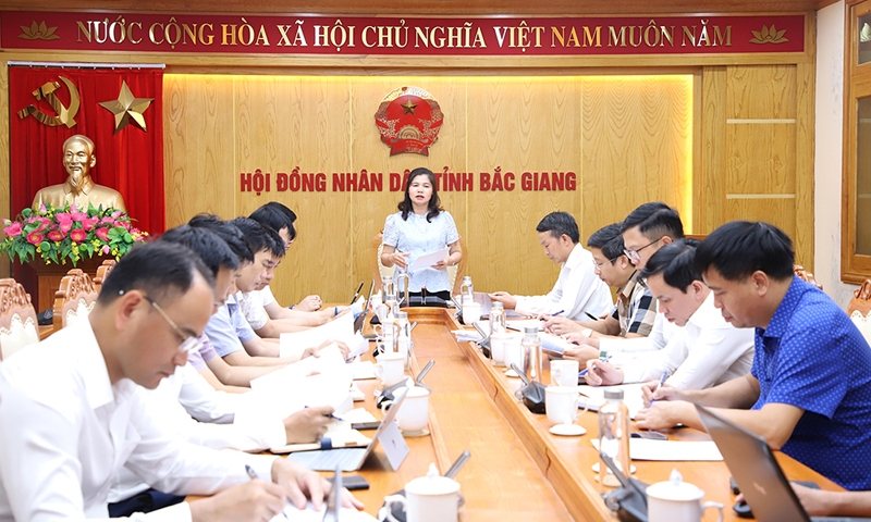 Bắc Giang: Phát hiện hàng loạt tồn tại, thiếu sót tại các dự án sau giám sát của HĐND