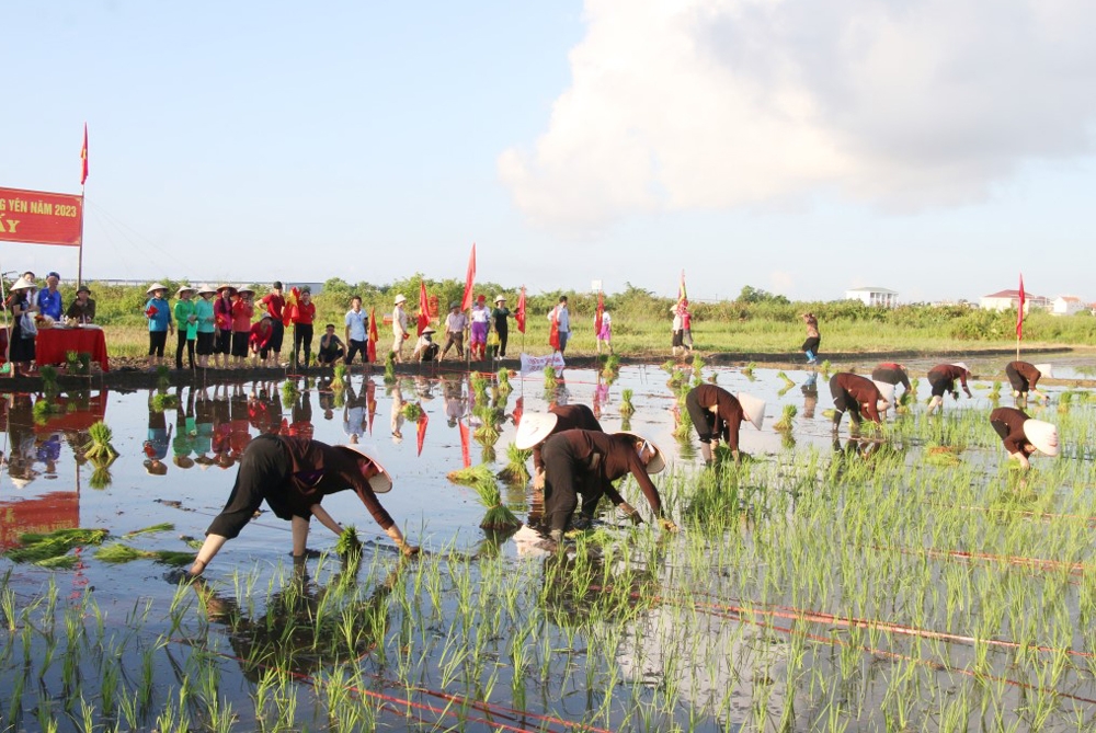 Quảng Yên (Quảng Ninh): Lễ hội Xuống đồng