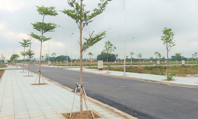 Hậu Lộc (Thanh Hóa): Thu hồi đất chuẩn bị thực hiện Dự án Hạ tầng kỹ thuật điểm dân cư khu Củ Lác