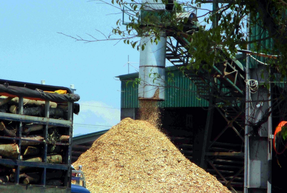 Bình Định: Cấp phép đầu tư các dự án xây dựng nhà máy chế biến dăm, viên nén gỗ tràn lan liệu có hệ lụy gì?