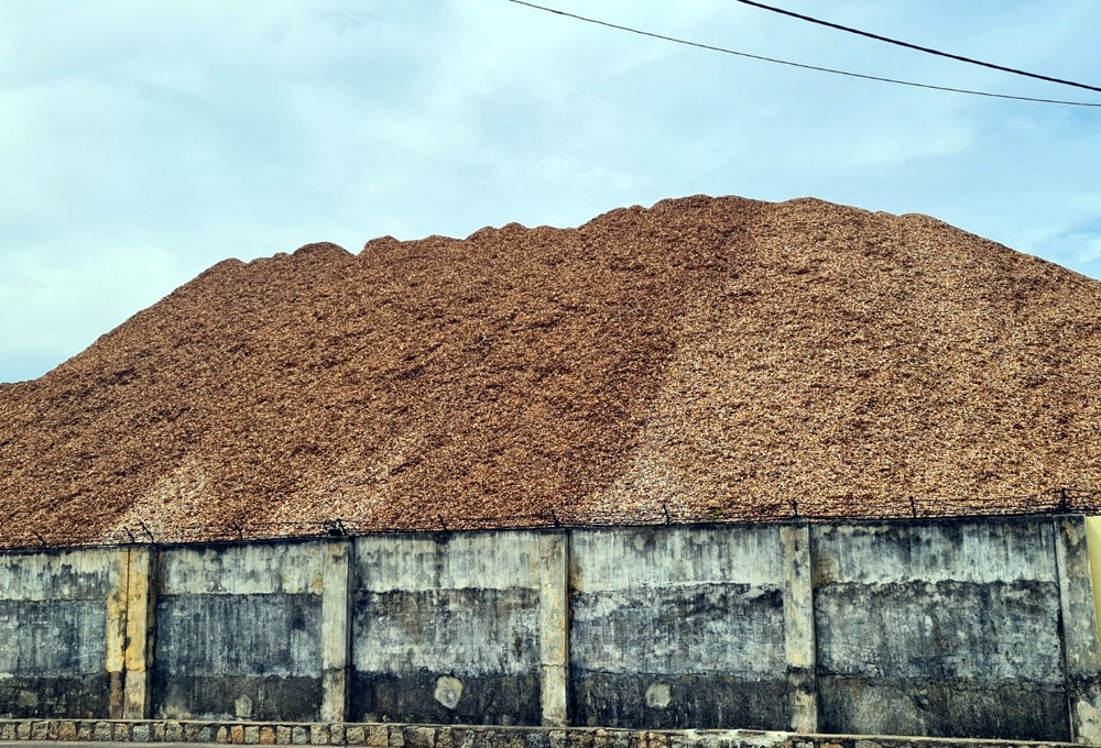 Nếu cung không đủ cầu, giá gỗ nguyên liệu sẽ tăng cao dẫn đến nhiều hệ lụy.