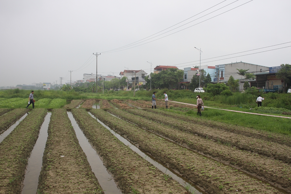 Tam Dương (Vĩnh Phúc): Cưỡng chế kiểm đếm bắt buộc thực hiện công trình tại xã Vân Hội