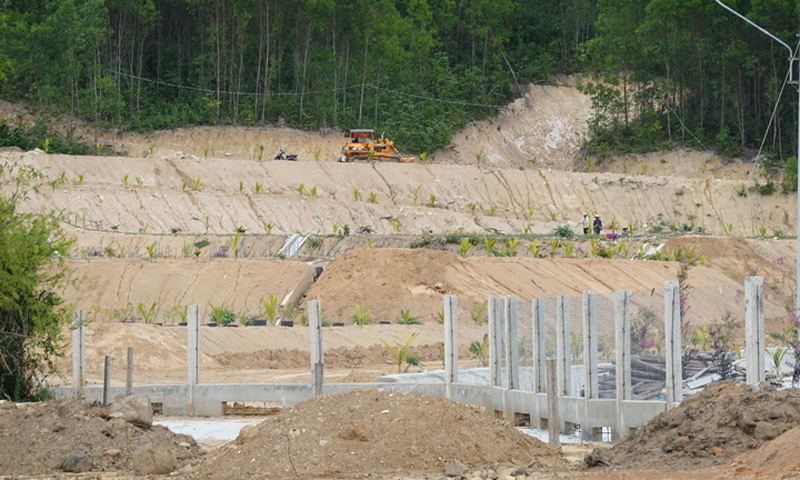 Bình Định: Công ty cổ phần Tingco Bình Định xây dựng công trình trên đất lâm nghiệp khi chưa có Giấy phép xây dựng