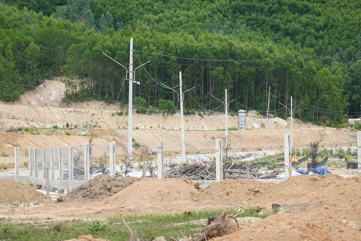 Bình Định: Công ty cổ phần Tingco Bình Định xây dựng công trình trên đất lâm nghiệp khi chưa có Giấy phép xây dựng
