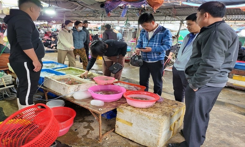 Nghệ An: Ban hành tiêu chuẩn thiết kế đối với dự án chợ nông thôn, xây dựng điểm đến du lịch tiêu biểu