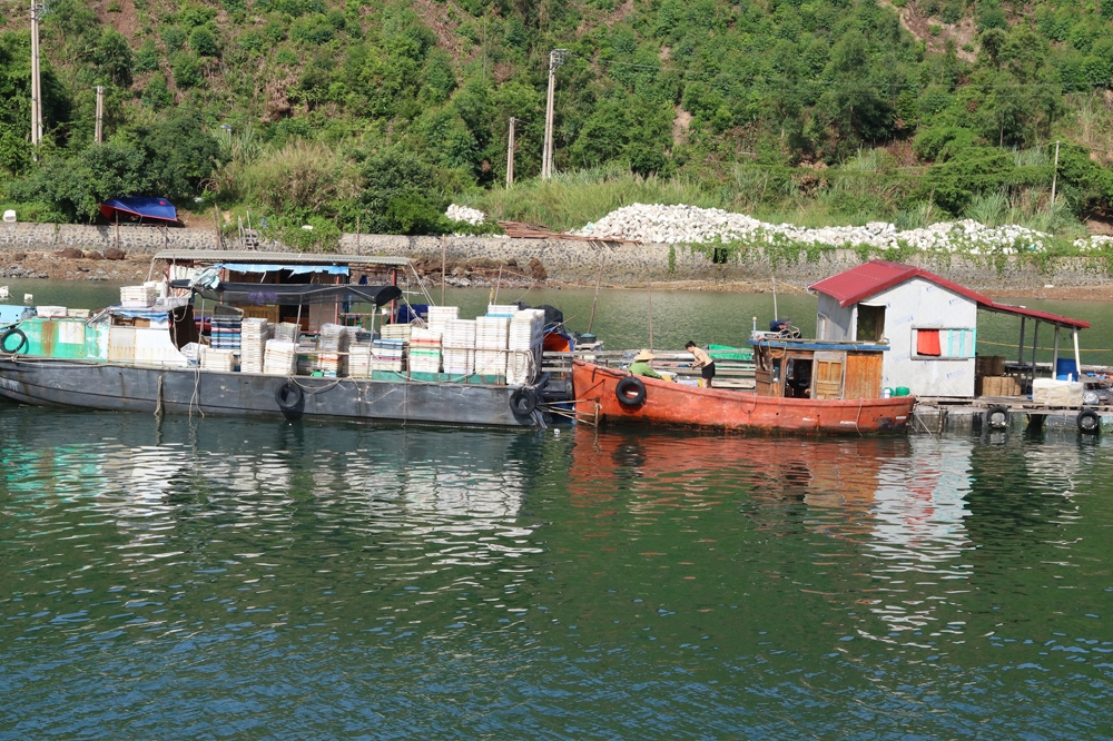 Quảng Ninh: Đảo dân thiếu nhà ở, đất tái định cư bỏ hoang