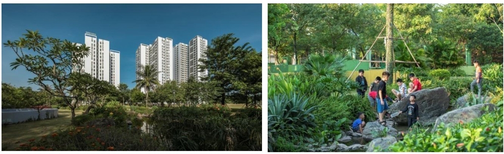 Phủ xanh chung cư cao tầng nội đô - Hành trình tạo dựng nếp sống xanh, sinh thái, nhân văn