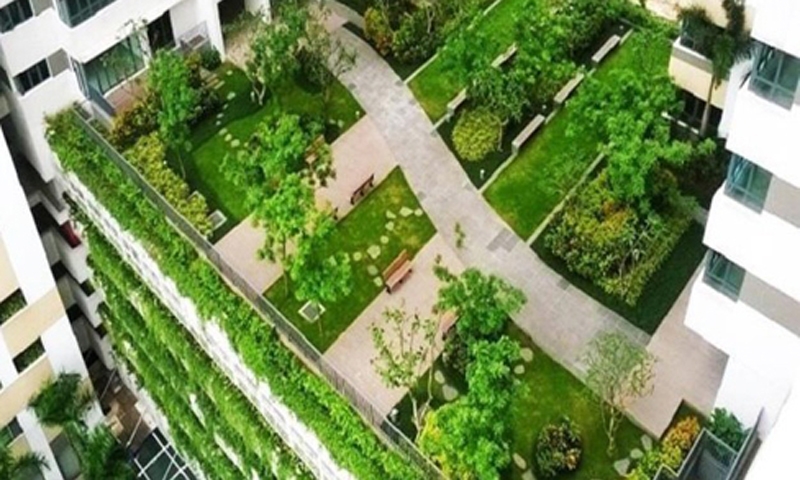 Phủ xanh chung cư cao tầng nội đô - Hành trình tạo dựng nếp sống xanh, sinh thái, nhân văn