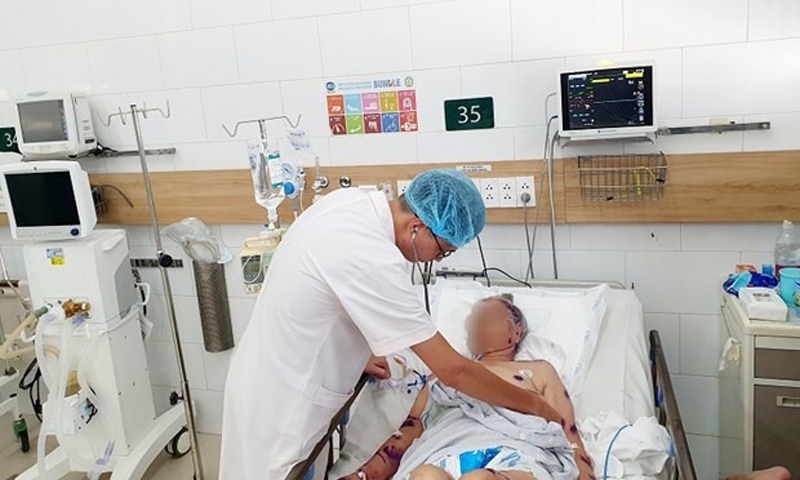 Bệnh viện Bạch Mai điều trị 2 ca bị ong đốt trong tình trạng nặng