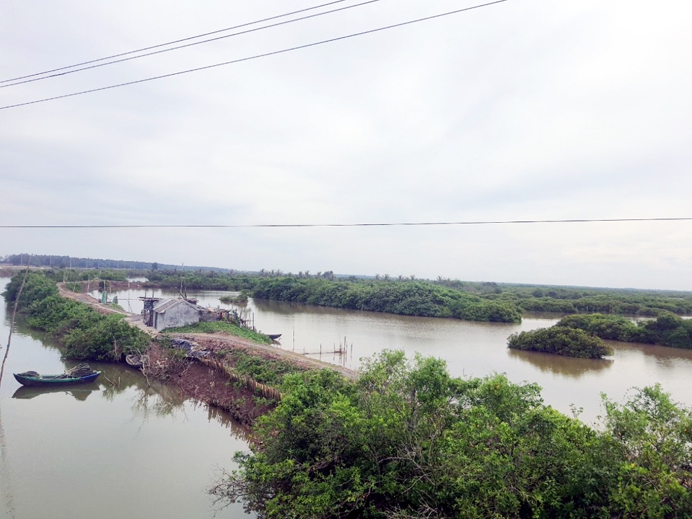 Thái Bình: Thông tin về Khu bảo tồn thiên nhiên đất ngập nước huyện Tiền Hải