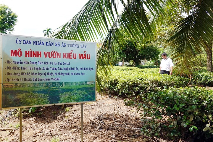 Bình Định: Xã thứ 2 của huyện Hoài Ân về đích nông thôn mới nâng cao