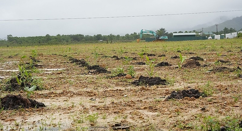 Thừa Thiên – Huế: Hoàn thành xử lý hiện trường đất nhiễm chất độc dioxin tại sân bay A So