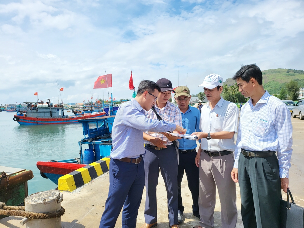 “Lai dắt” thành công Dự án Vũng neo đậu tàu thuyền Lý Sơn… vào bờ