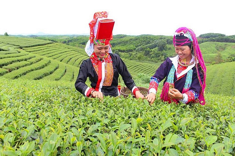Hải Hà (Quảng Ninh): Phấn đấu đạt chuẩn huyện nông thôn mới nâng cao trong năm 2023