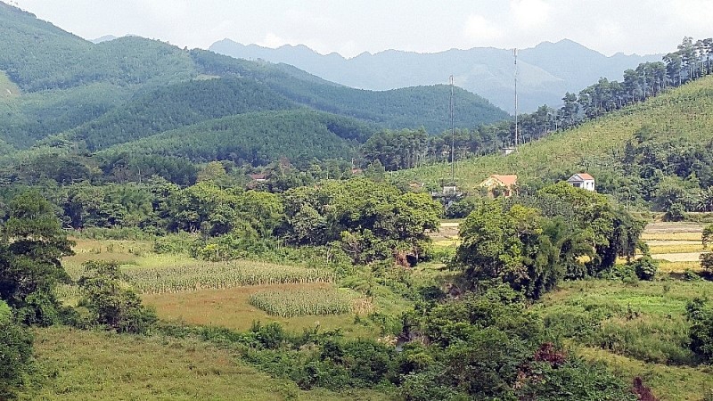 Bắc Giang: Phê duyệt điều chỉnh, bổ sung Kế hoạch sử dụng đất huyện Sơn Động năm 2023