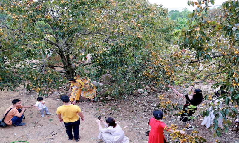 Nam Đàn (Nghệ An): Xã Nam Anh đón Bằng công nhận xã nông thôn mới kiểu mẫu