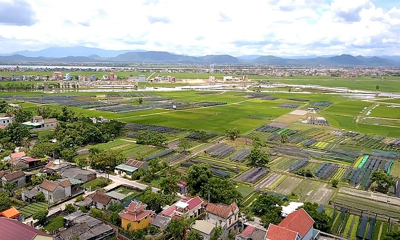 Quảng Bình đấu giá 260 thửa đất, khởi điểm chỉ 55 triệu đồng